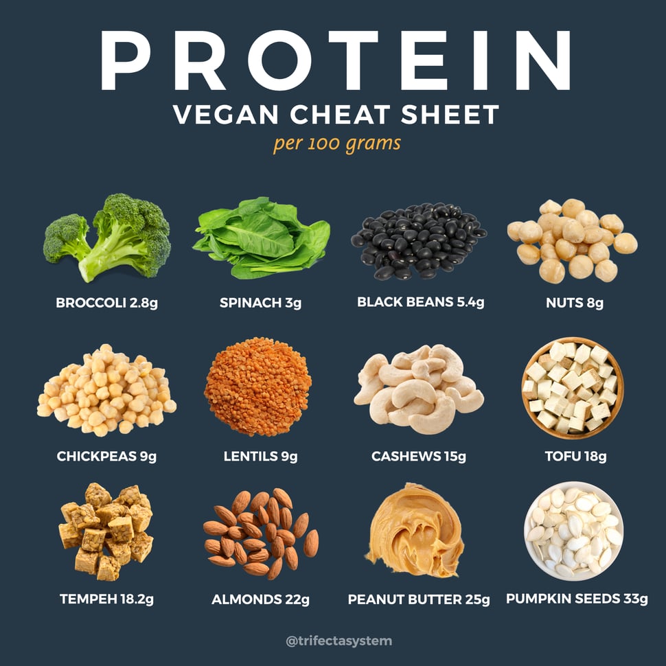 vegan protein cheat sheet 