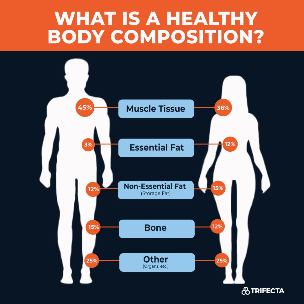 what-is-a-healthy-body-composition-2