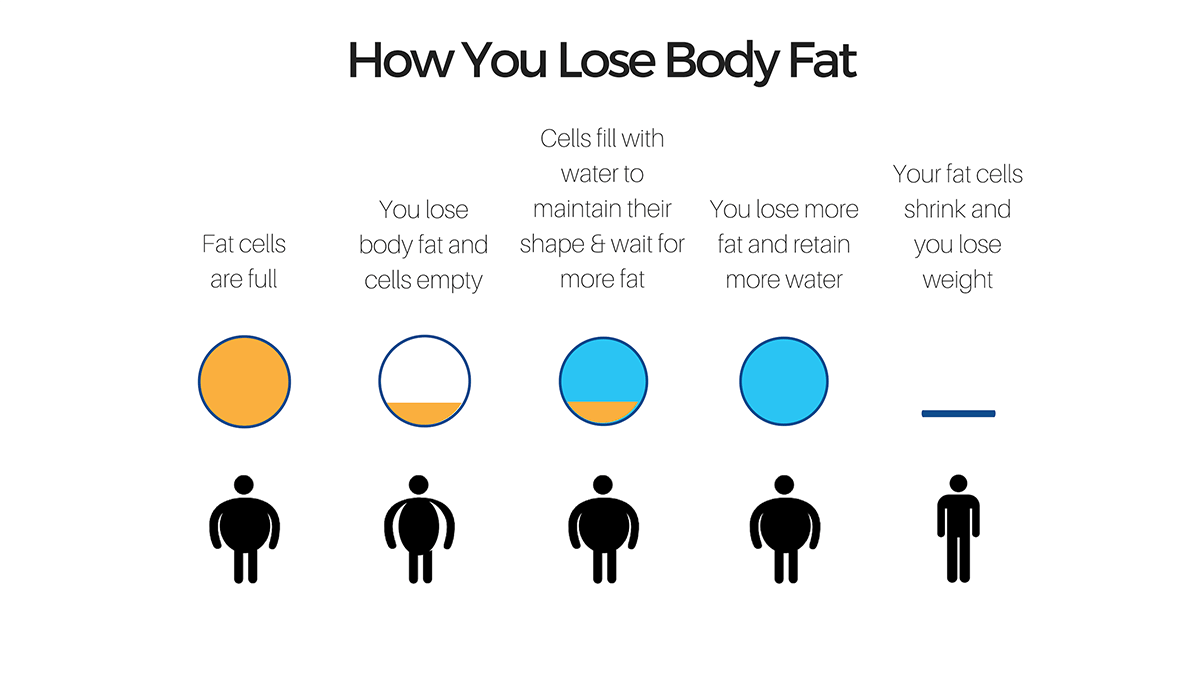 how you lose fat-1