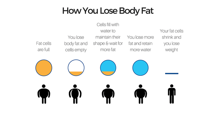 how you lose fat-2