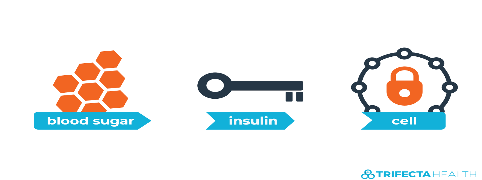 insulin_glucose_diabetes-2